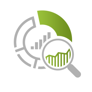 Detailed Analytics Reports